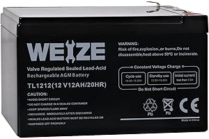 Pegperego Rechargeable Battery, 12v 12ah