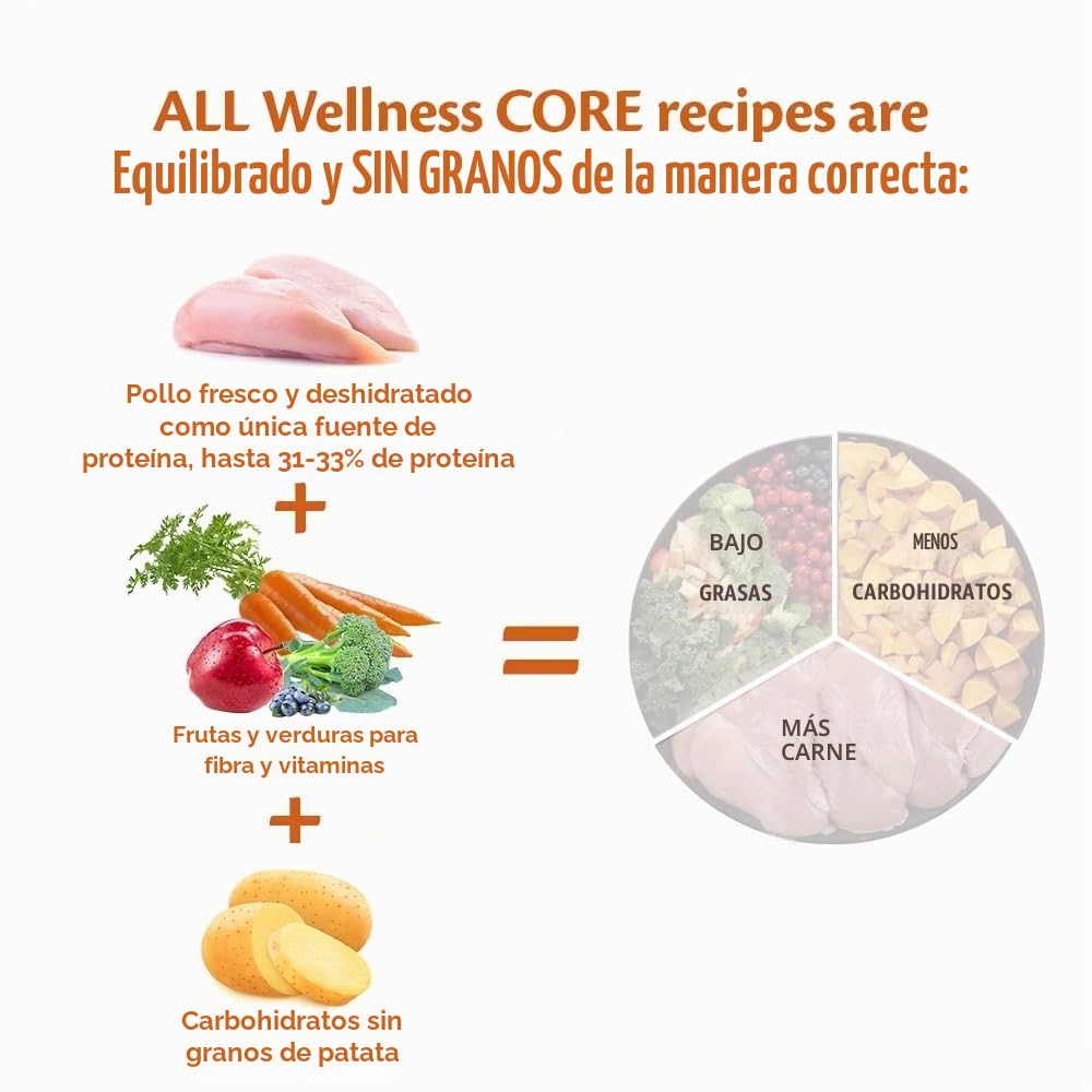 Wellness CORE Large Breed Original - Comida Seca para Perros Adultos de Razas Grandes, Pollo de 10 kg, sin azúcar añadido, sin Cereales, con Alto Contenido de Carne