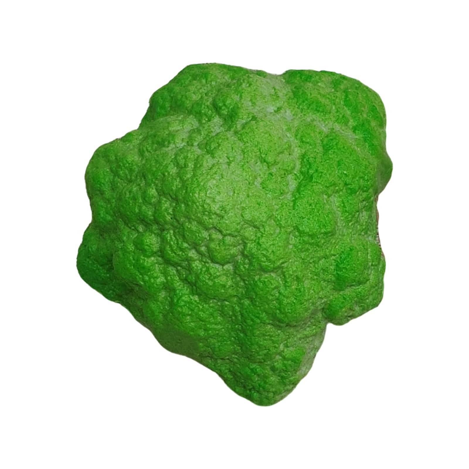 alloneslife Miniature Vegetables for Decorative Purposes and Visual Merchandising Realistic Design Vegetable Models Realistic Food Props for Photography