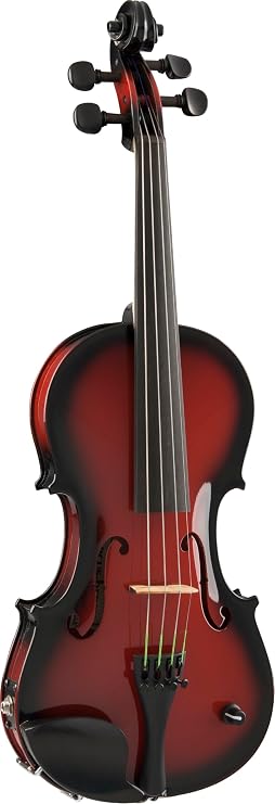 Barcus Berry, 4-String Violin (BAR-AEVR)