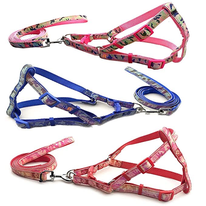 Woofy Pet Printed Ribbon Stitched 10 MM Harness and Leash - Adjustable Nylon Soft Reflective Harness and Leash Set for Small Dogs & Cats (X-Small) (B0BMLWP8PT) Amazon Price History, Amazon Price Tracker