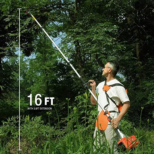 Pole Saw Gas Powered, Reach To 16 Foot Extendable Tree Hedge Trimmer Powerful 42.7Cc 2-Cycle Gasoline Long Chainsaw Cordless Tree Pruning Saw W/Portable Bag #TOP1