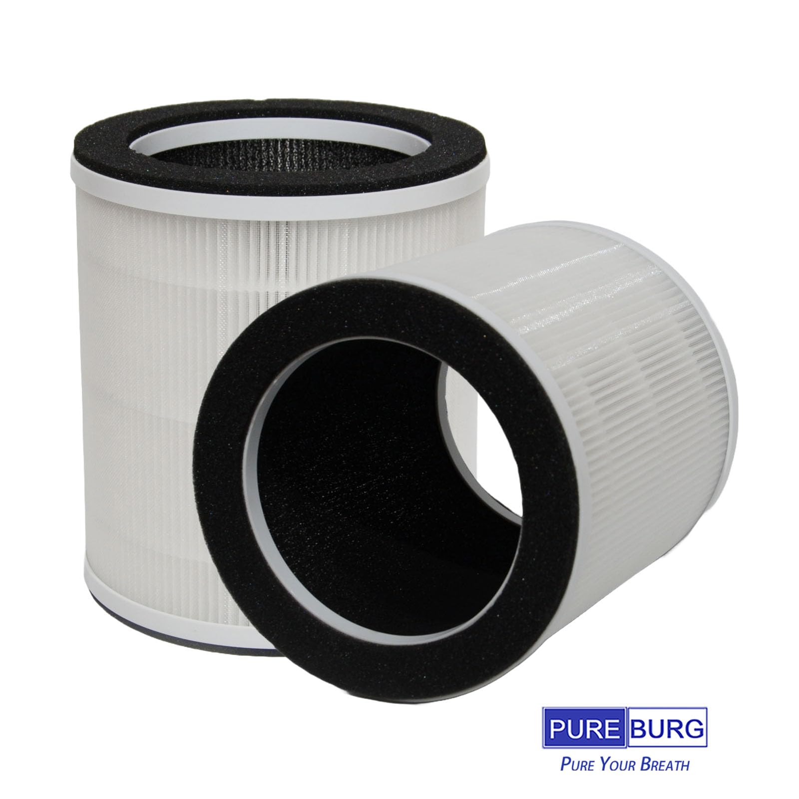 PUREBURG Filtro di ricambio compatibile con purificatori d'aria DAYETTE AP301 e JOWSET AP301 AP302 AP303 e AIRROBO AR400, confezione da 2 filtri H13 HEPA a 4 stadi al carbone attivo 2 in