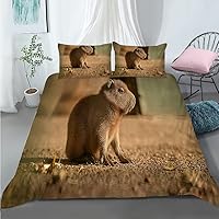 NDXRWDZR Dekbedovertrek 200x200 Tiener Schattig Konijn Beddengoed Set voor 2 Personen met Rits Zacht Ademend Microvezel Dekbedovertrek en 2