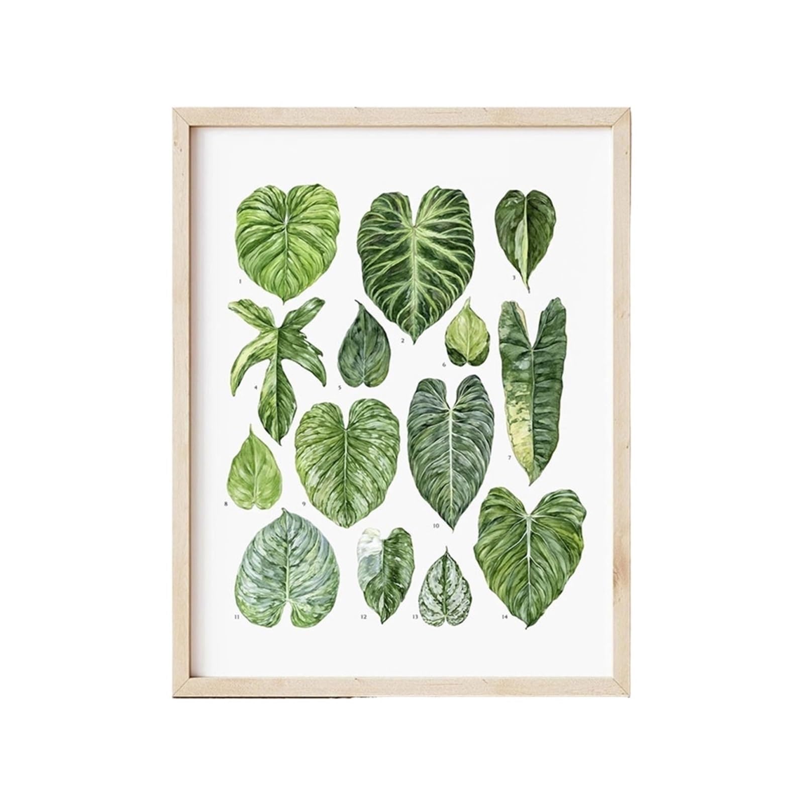 Feuillage et plante d'intérieur sur toile naturelle haute définition 50x70
