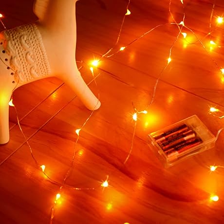 Fairy Lights Battery Operated 1 Pack Orange Light