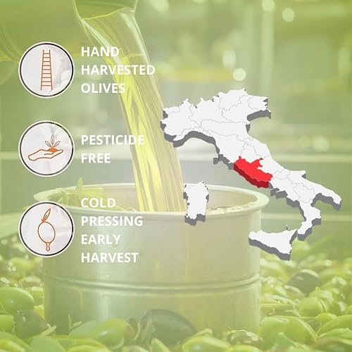 L'Olio Dei Papi 100% Huile D'Olive Extra Vierge Italienne Extraite à Froid Des Oliveraies Centenaires Des Anciennes Terres Des Papes 0,25 LT (bouteille