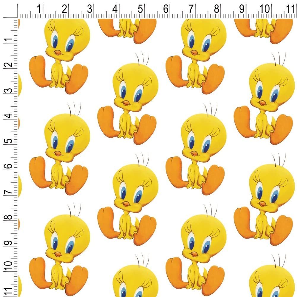 Amazon.com: GRAPHICS & MORE Looney Tunes Cute Tweety Gift Wrap
