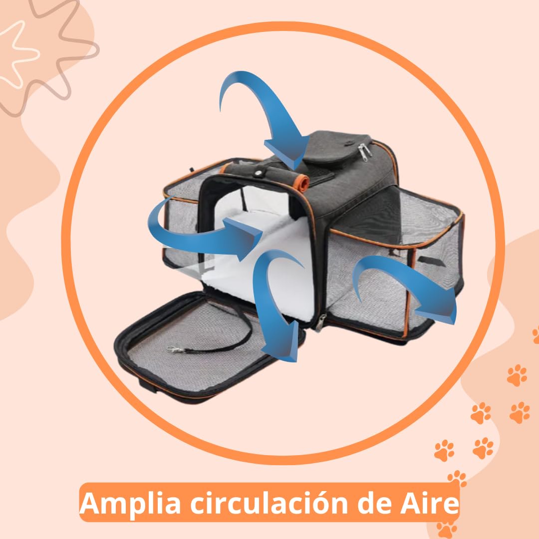 Pet's Hub Place, Transportin Gato Perro Pequeño, Bolso, Peso Máximo 7kgr, Tamaño 48X31X31cm, Extensible 75cm, Impermeable, Cojín Acolchado, Uso Interior/Exterior, +2 Comederos