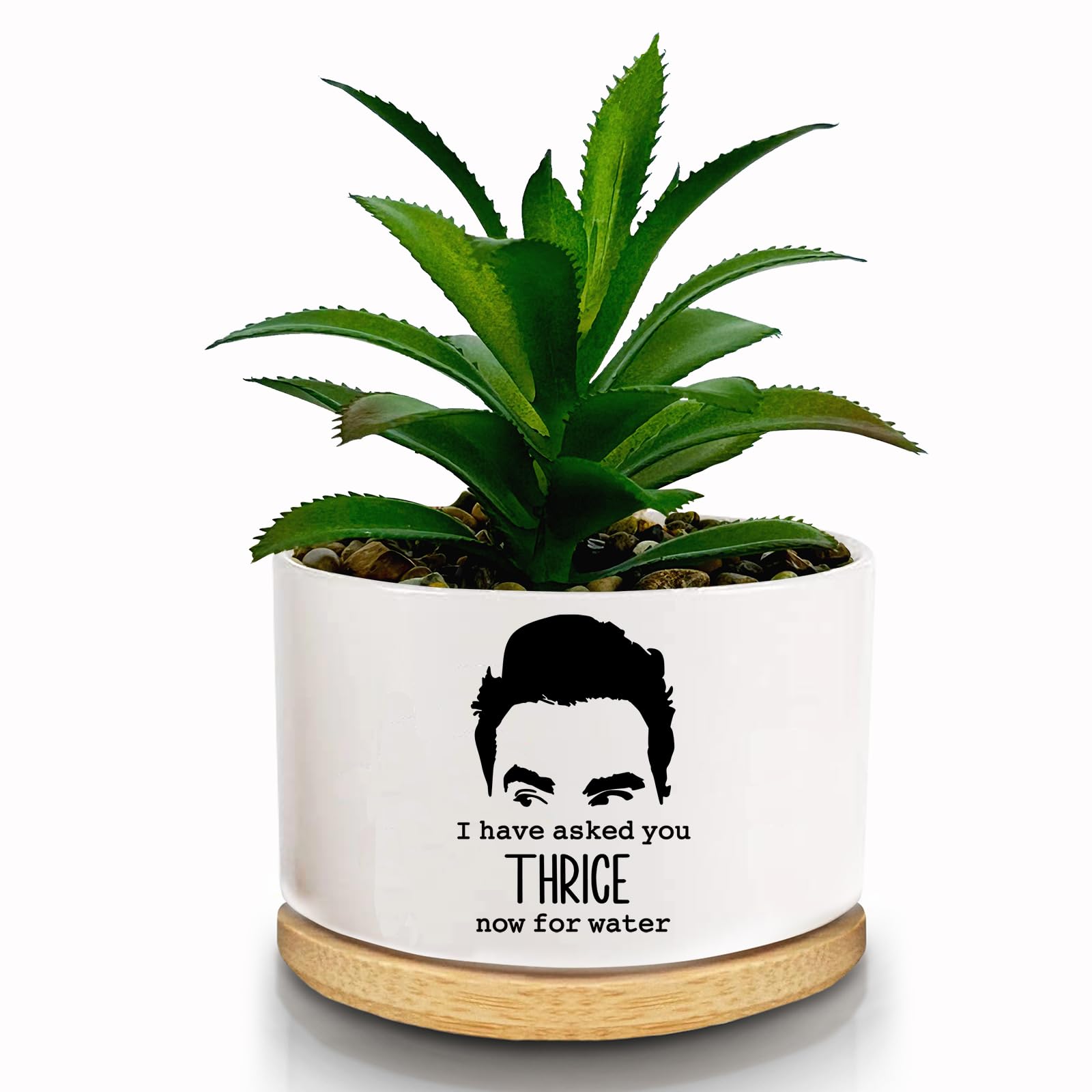 FZTUON Thank You for Helping Me Grow Succulent Planter Pots with Bamboo Tray, Indoor Planter for Women Men, Friends