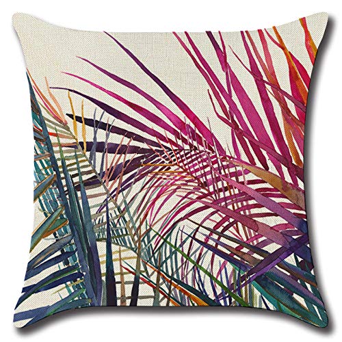 JuneyZz Estudio Funda de Almohada de Algodón Serie Set-Plant, 40 × 40 Funda de Almohada Grande, Material Textil