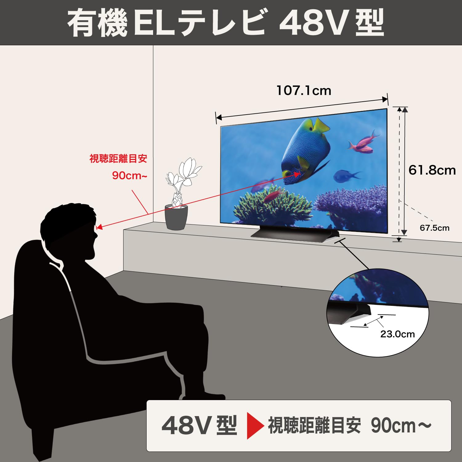 Amazon | LG 有機EL テレビ 48V型 4Kチューナー内蔵 OLED48C5PJA
