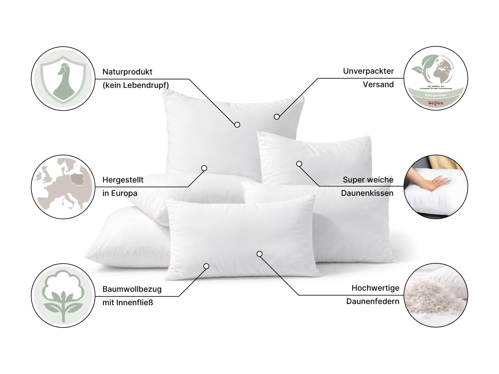 beties - PublikSoft - 2er Set Daunen Füllkissen 40x60 cm – 400 g halbweiße 70% Daunen 30% Federn – waschbares Baumwoll Inlett – Sofa-, Kopf- & Couchkissen – weich & komfortstützend