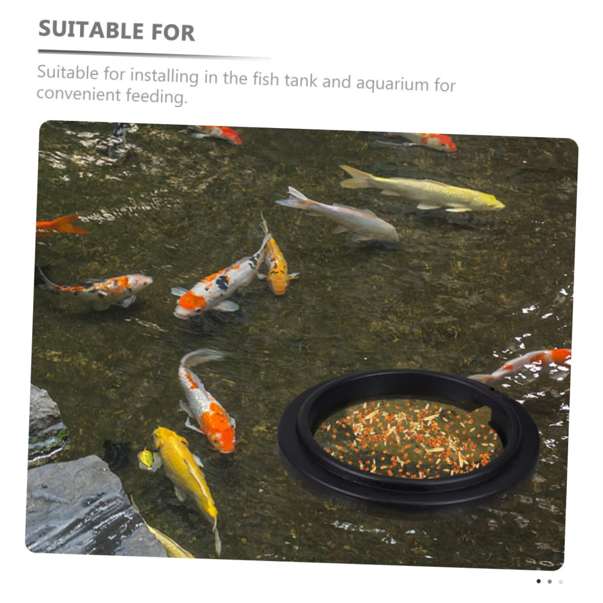 Mipcase 15stücke Tragbare Fischfütterungsringe Für Aquarien Professionelle Futterstationen Für Süß Und Salzwasser Für Garnelen Und Tropische Fische Mit Schwimmendem Design Für