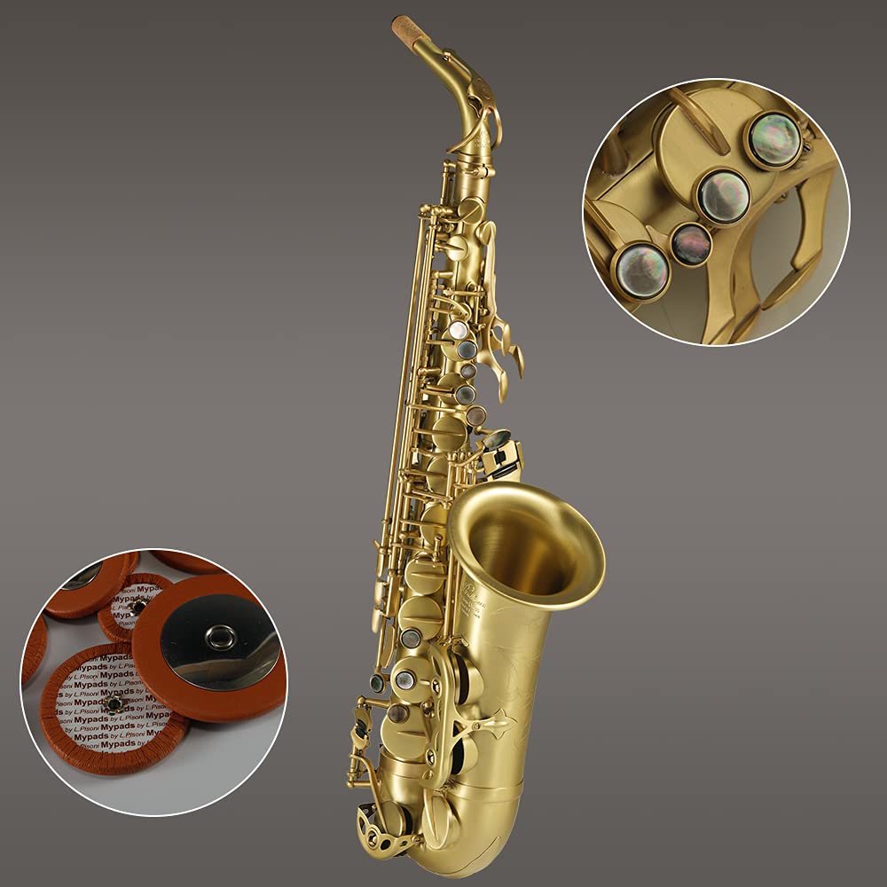Rollins Saxophone alto RSA-X5,E flat Selmer 54-Key,Matière laiton,Or