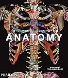 Anatomy: Exploring the Human Body (Explorer) - Phaidon Press Limited