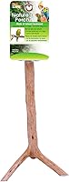 Vista 1 de Penn-Plax Bird-Life Natural Wooden Bird Perch Stand Platform for Cages - Great for Parrotlet, Parakeet, Finches, and Other Small Size Birds