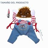 Ver la foto 2