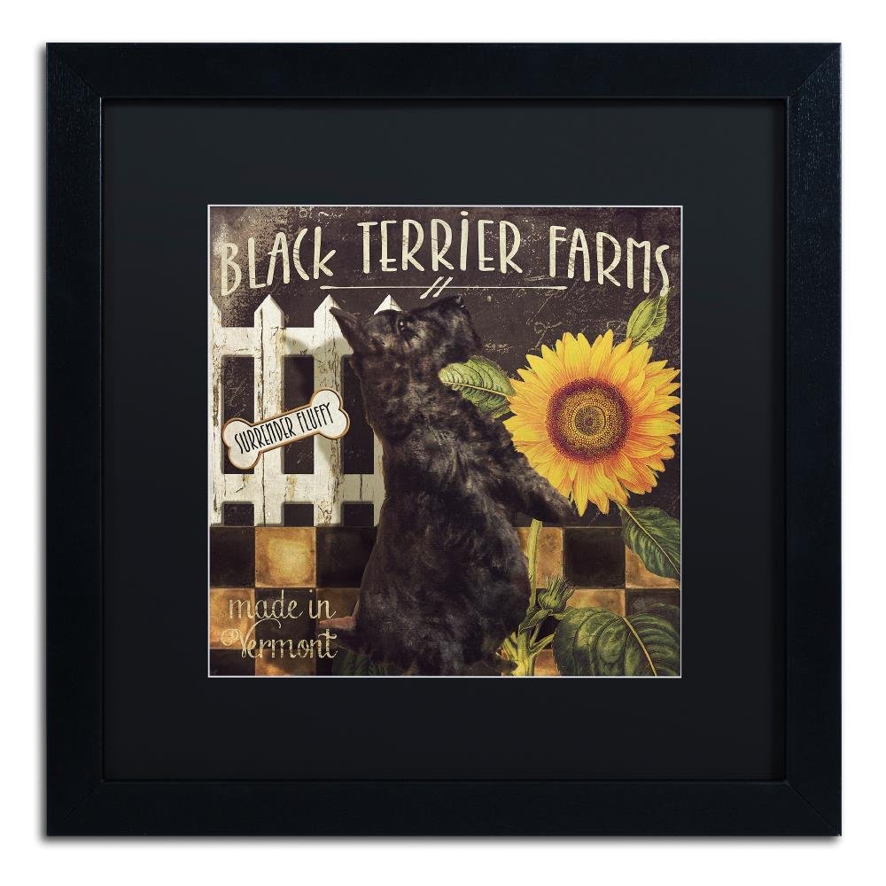 Trademark Fine Art ALI4639-B1616BMF Vermont Farms V, 16x16-Inch, 16x16