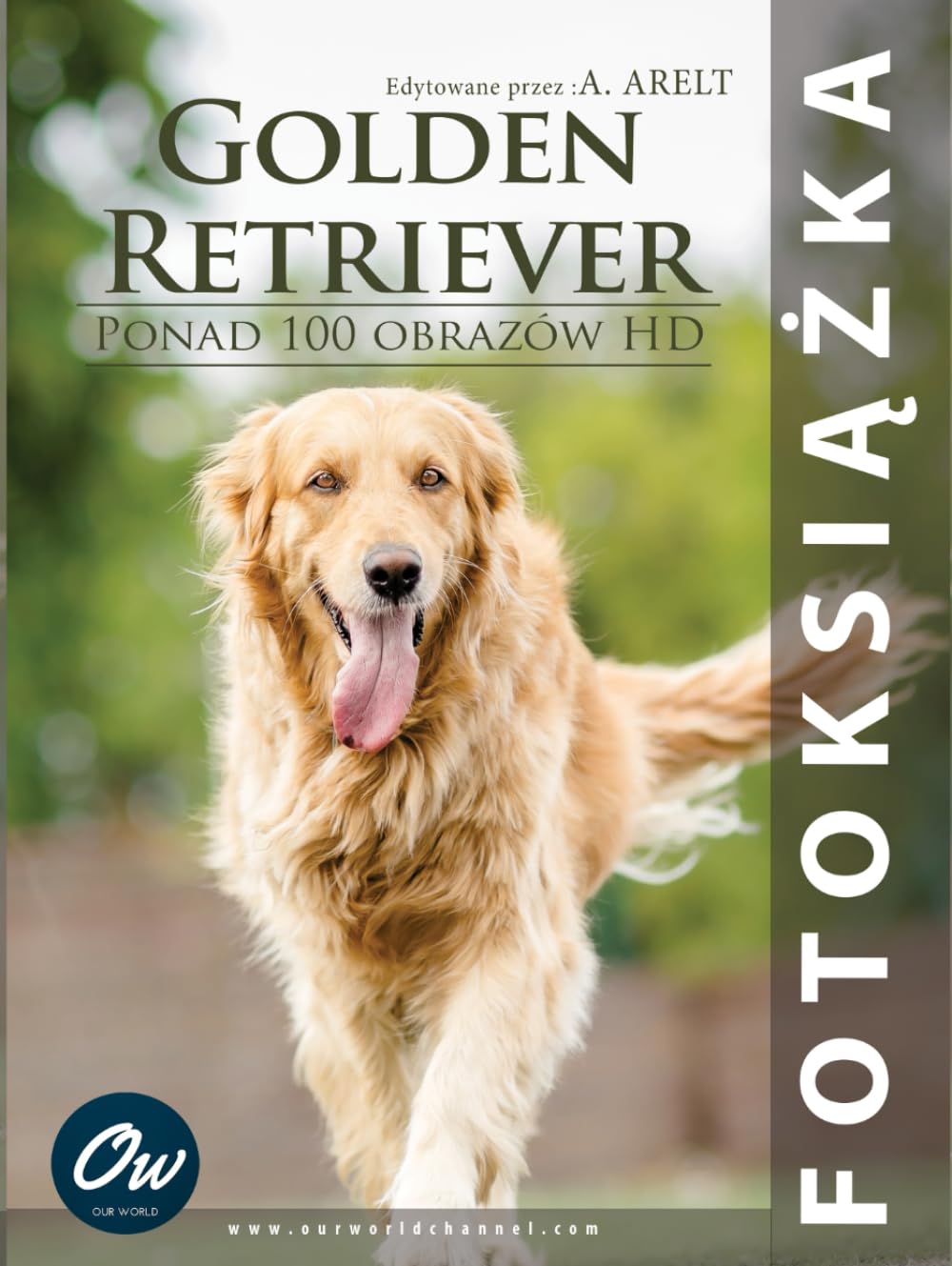 Livre photo Golden Retriever le cadeau parfait pour les passionnés du canidé