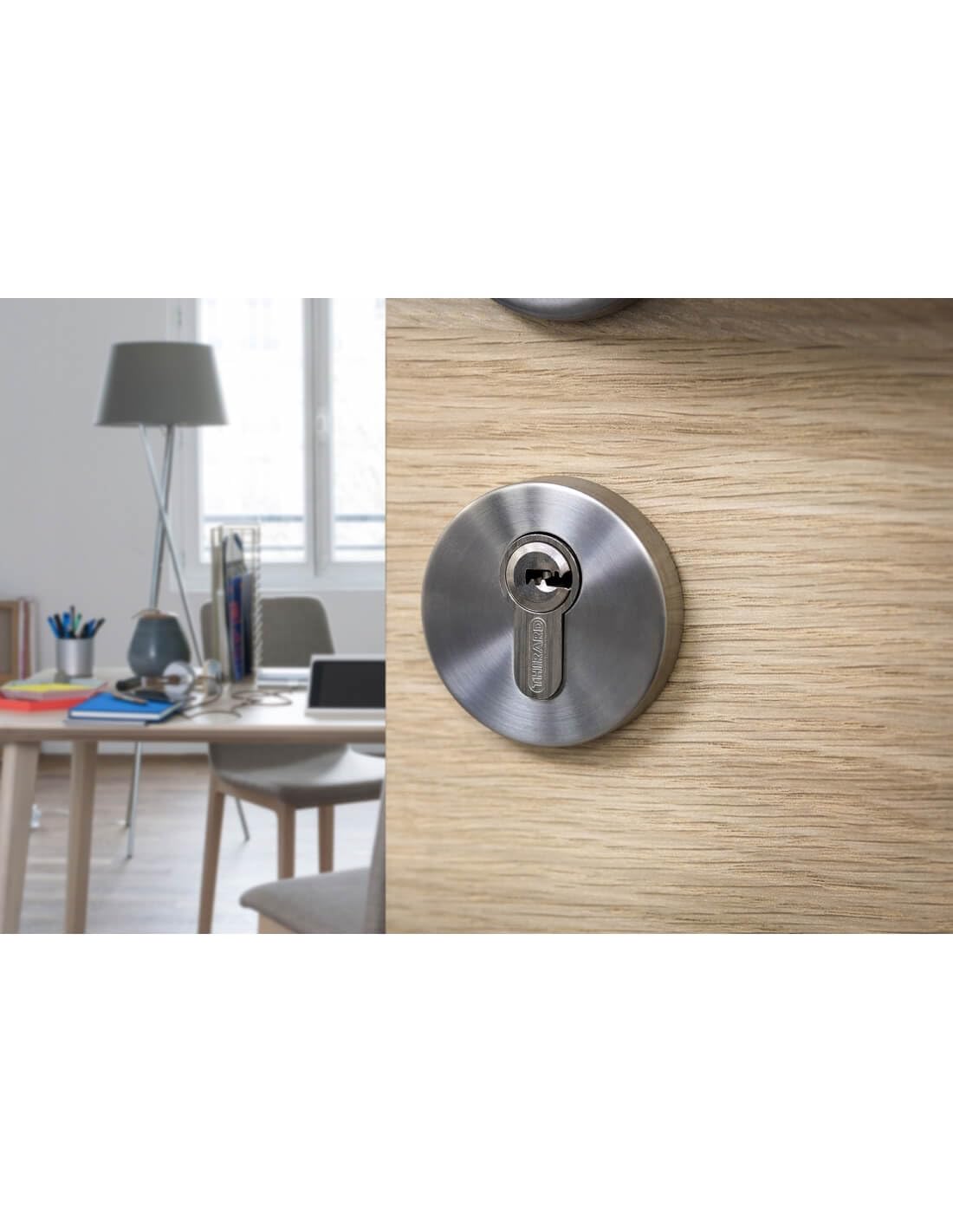 THIRARD - Cilindro di Serratura Doppia Entrata Transit 2 - Ottone - Uso Interno ed Esterno - 8 Perni - Anti-Strappo, Anti-Trapano, Anti-Scasso, Anti-Snap - 30 x 30 mm - Grigio