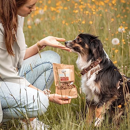 Bellfor Gefriergetrocknete Freeze-Snacks für Hunde 250 g gut bekömmlich kohlenhydratarm und Ohne künstliche Zusatzstoffe