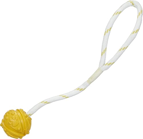 TRIXIE Aqua Toy Balle sur Corde Jouet pour Chien en Caoutchouc, ø 4,5/35 cm – Jo