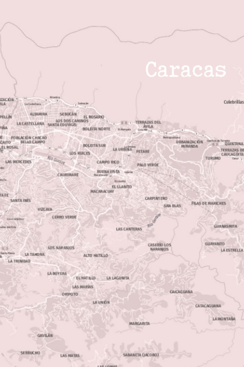 Adriana CotteCARACAS Notebook (Pink) (Spanish Edition)