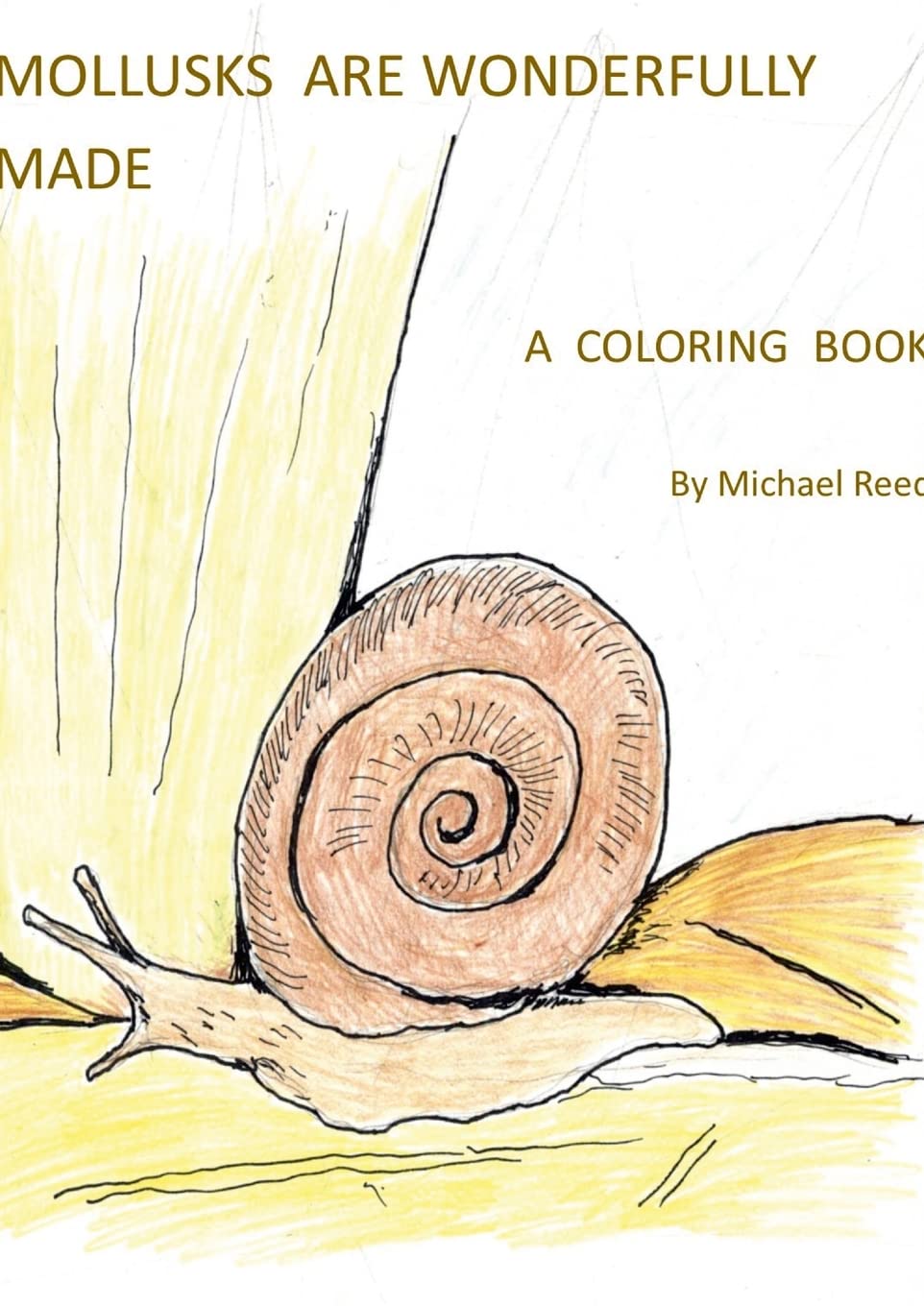 Mollusks are Wonderfully Designed: A Coloring Book