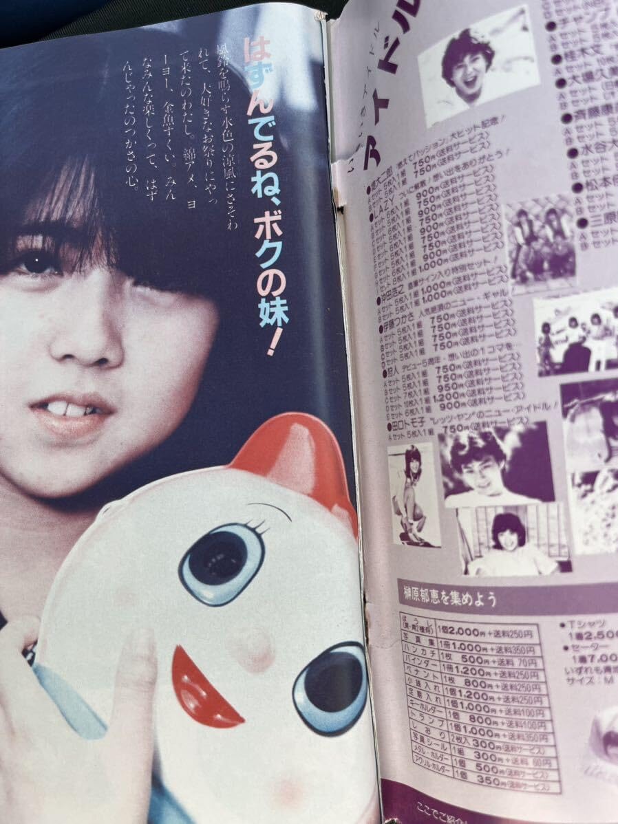 Amazon.co.jp: BOMB! ボム1981年8月 榊原郁恵 河合奈保子 柏原芳恵