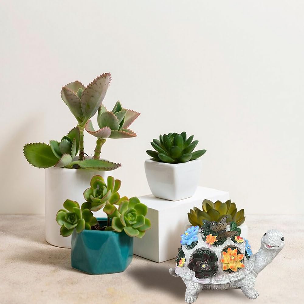 Voarge Solar Garden Decoration for Outdoors Solar Garden Figures Turtle with Succulents and 7 LED Lights, for Patio Balcony - Image 4
