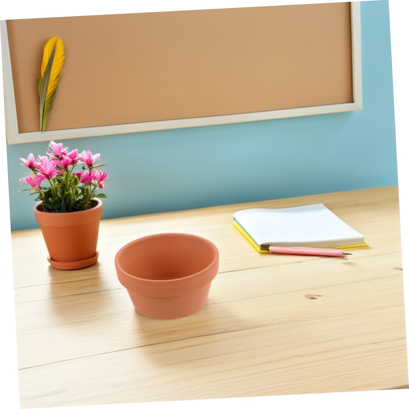 6pezzi Vasi in Terracotta Mini per Pianta Grasse Vasi Ceramici Piccoli per Fiori Terracotta per Cactus da Interno Fioriere Rustiche Contenitori per Piante da Tavolo