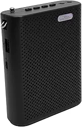Caixa de Som Amplificadora Portátil 10W subwoofer integrado Com Microfone, Função TWS MicroSD e USB Com Bluetooth 5.3 Para Professores Palestrantes e Guias