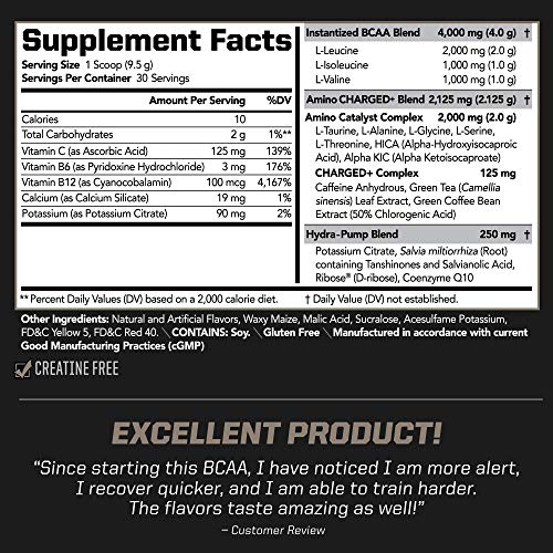 PMD Sports BCAA Charged Delicious Amino Acid Drink Mix for Performance