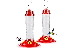 2-Pack Clear Hummingbird Feeders: Five Ports for Delightful Dining