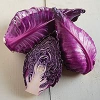 Vista 3 de Seeds Cabbage Red Kalibos Vegetable Heirloom for Planting Non GMO