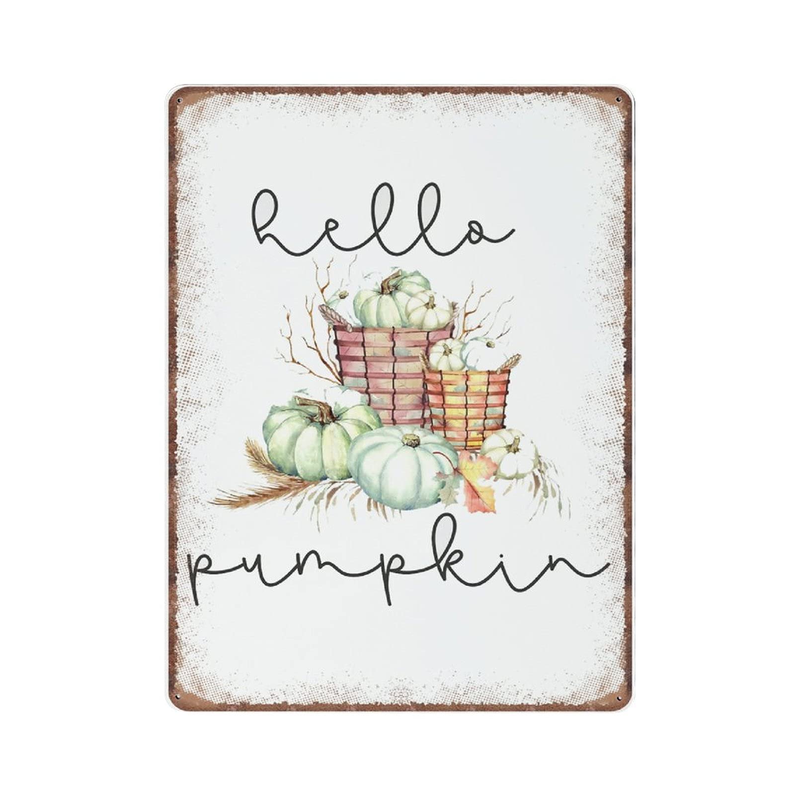 rayprint Hello Pumpkin Tin Signs, Fall Pumpkin Autumn Decor, Retro Funny Metal Sign Vintage Poster Wall Art for Kitchen Garden Bathroom Farm Home Coffee Decor Tin Sign, 30x40 cm