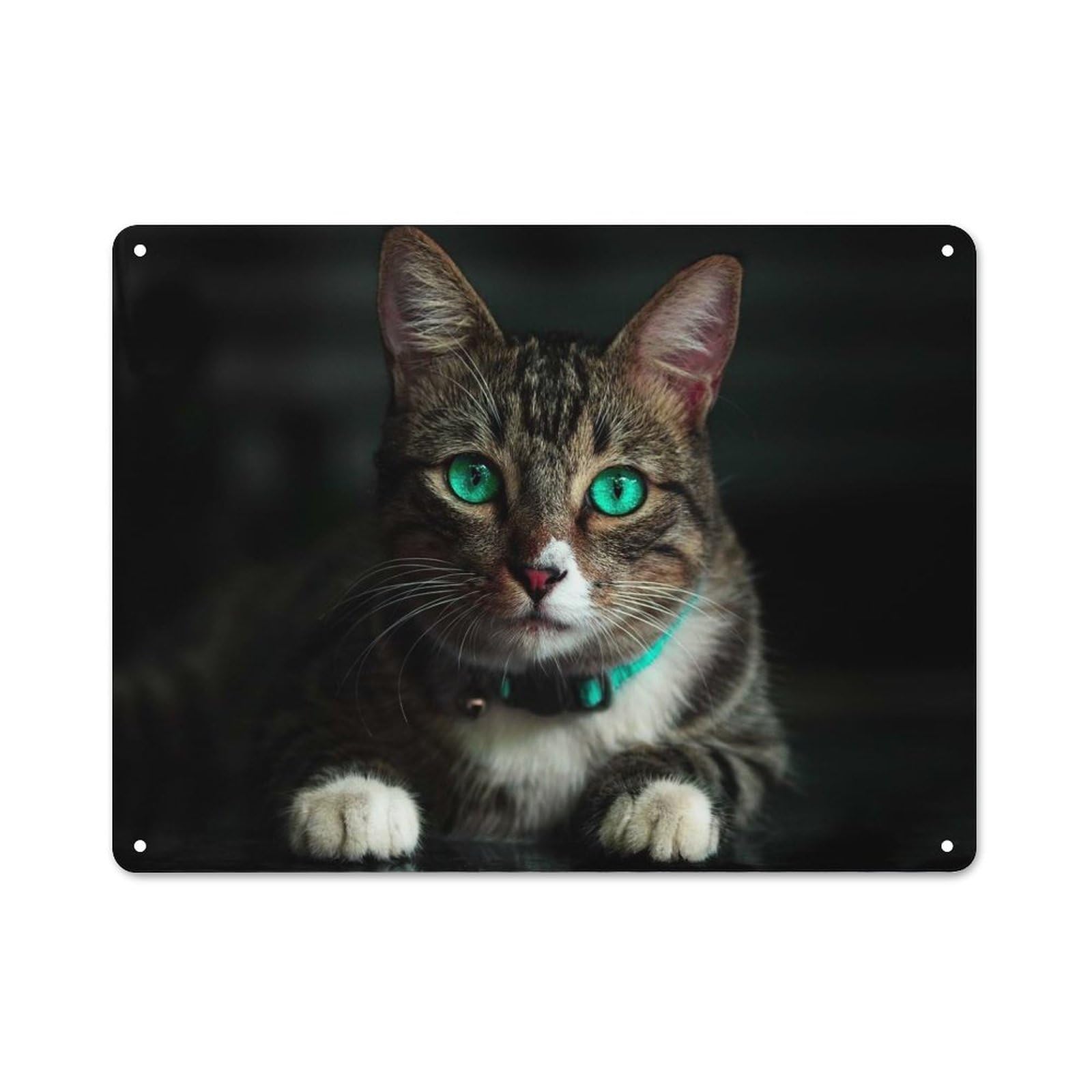 Junmoney Style-14 Loft Style Cat With Green Eyes Decorative Metal Plaque 30X40cm, Studio Wall Art For Workspace, Cafe, Hallway Or Garage