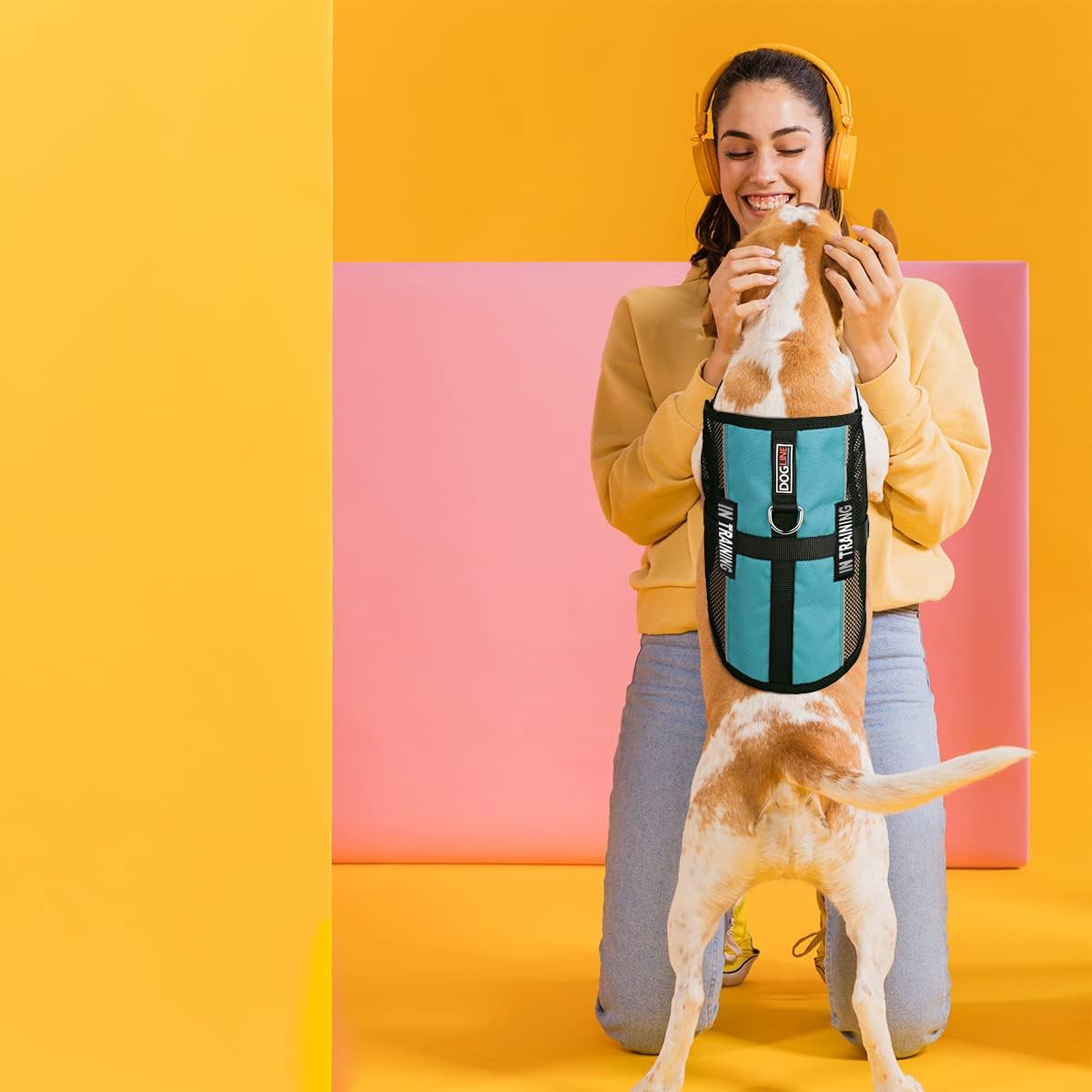 Dogline 17"-21" MaxAire Mesh Vest for Dogs and 2 Removable in Training Patches, Medium, Turquoise