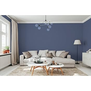 611q1cKX2NL._UF350,350_QL80_.jpg