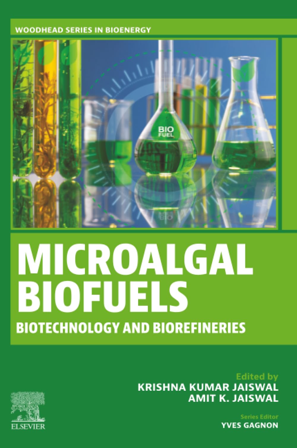 Microalgal Biofuels: Biotechnology and Biorefineries (Woodhead Series in Bioenergy)