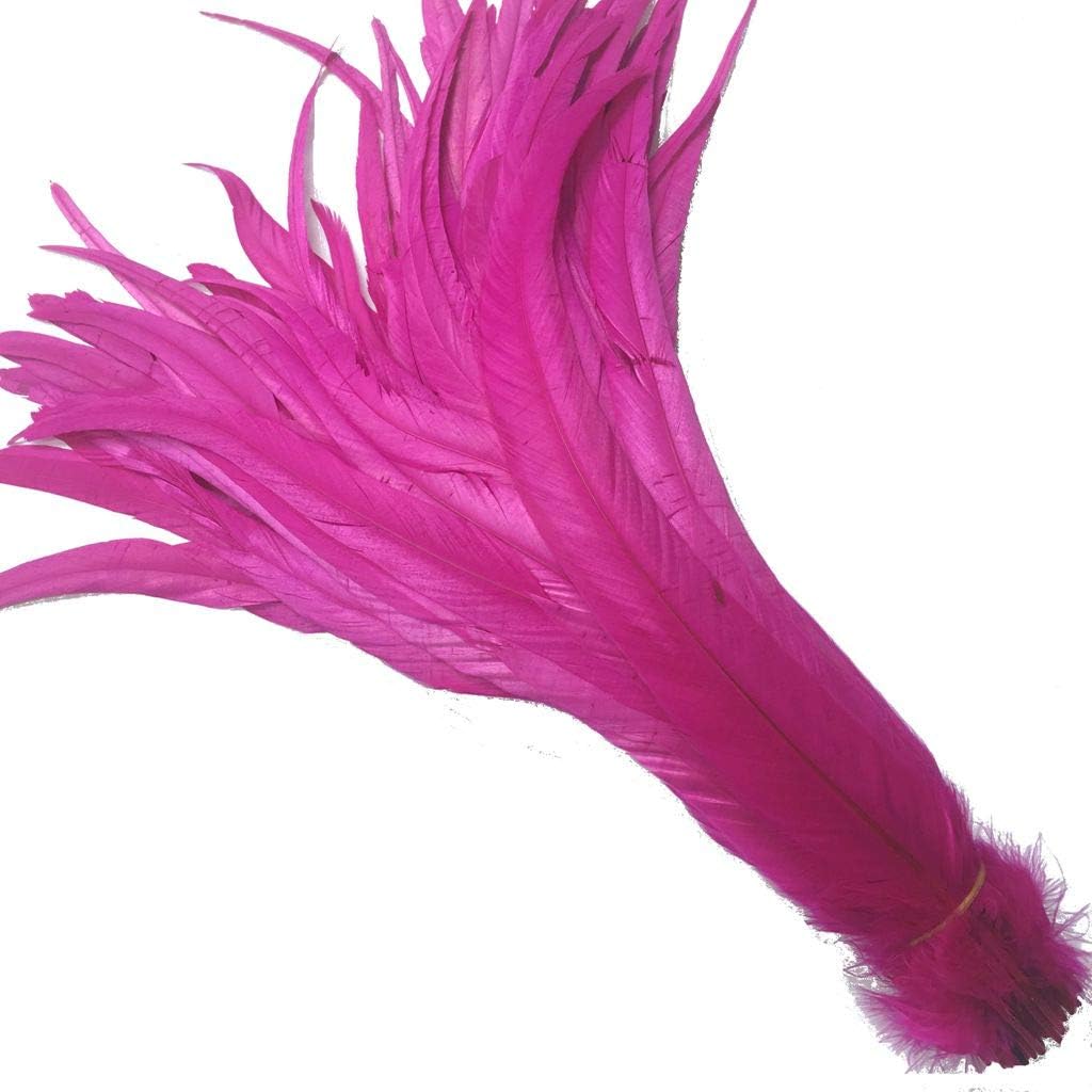 Shekyeon 12-14inch Rooster Tail Feather Used Hats Costume Decoration Pack of 50