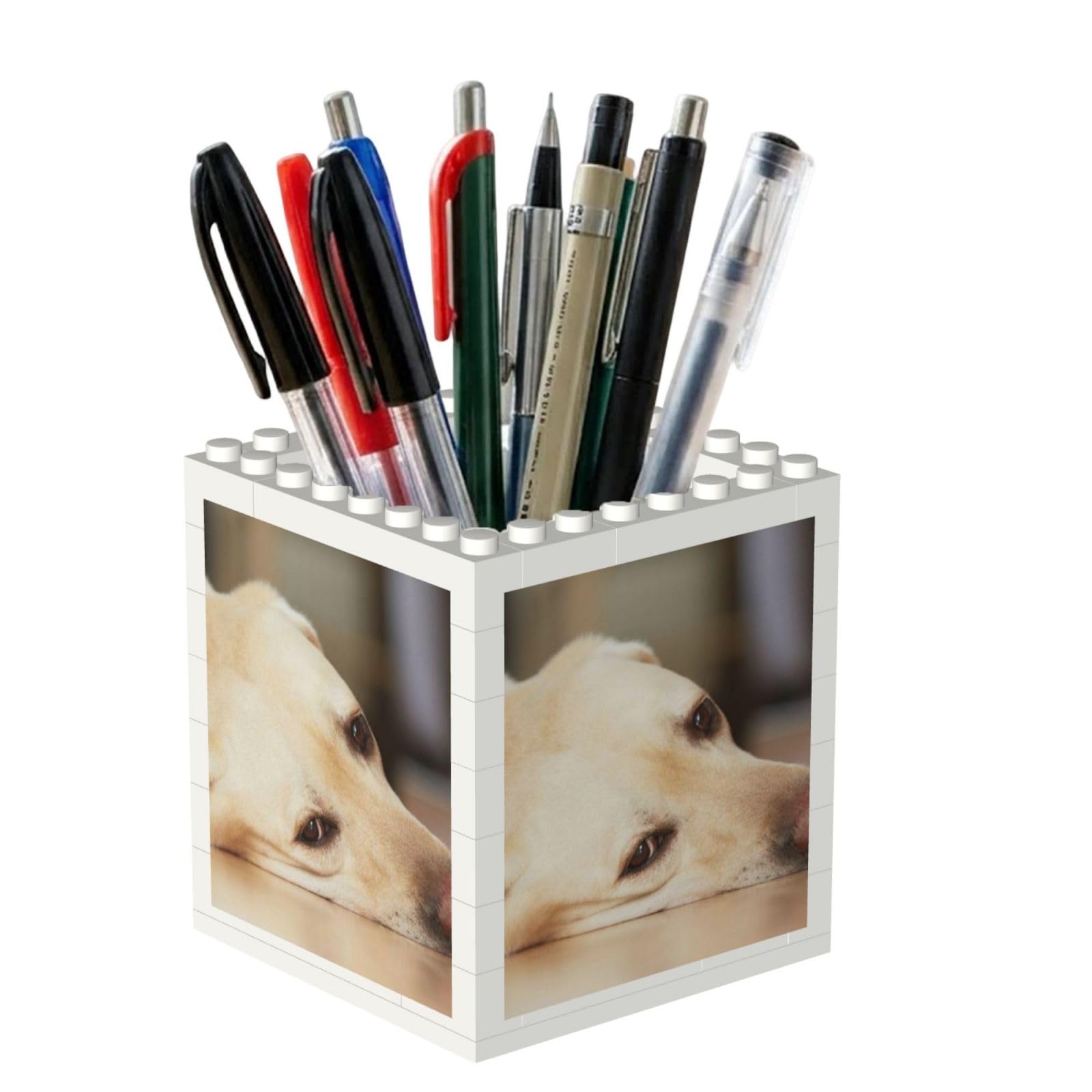 Poadnly Yellow Labrador Retriever Print, Pen Pot Pencil Holder for Office Home School, Compact Desk Organiser for Office Stationery