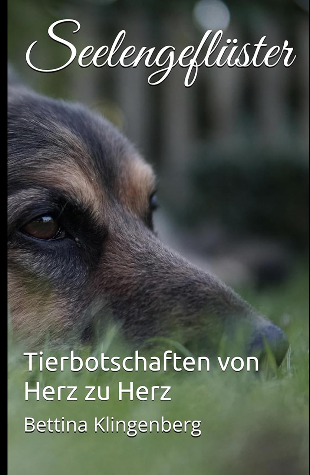 Seelengeflüster: Tierbotschaften von Herz zu Herz