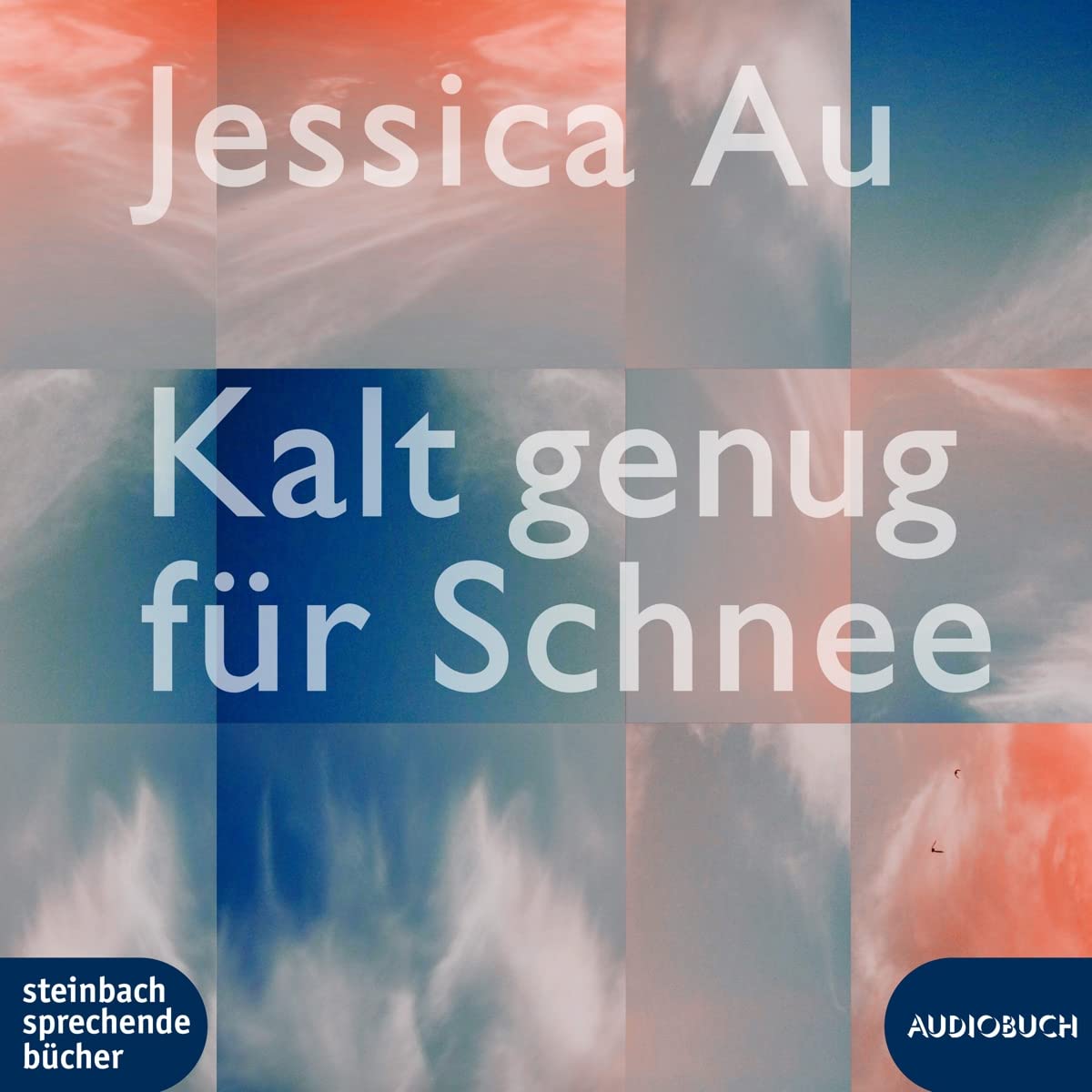 Kalt Genug Für Schnee