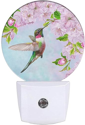 EKOBLA Luz nocturna de primavera colibrí rosa flores cerezo flores luces de noche enchufe a la pared para niños niñas, lámpara redonda para el hogar