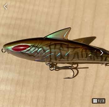 611qO5k-G8L._AC_UF350,