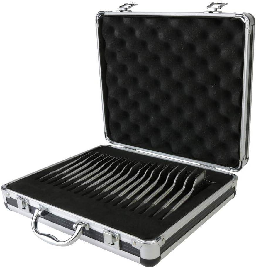 17-Piece Spade Bit Set with Case (16")