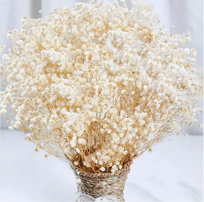 4000+ Dried Babys Breath Flowers Bulk - 17" Ivory White Dried Flo...