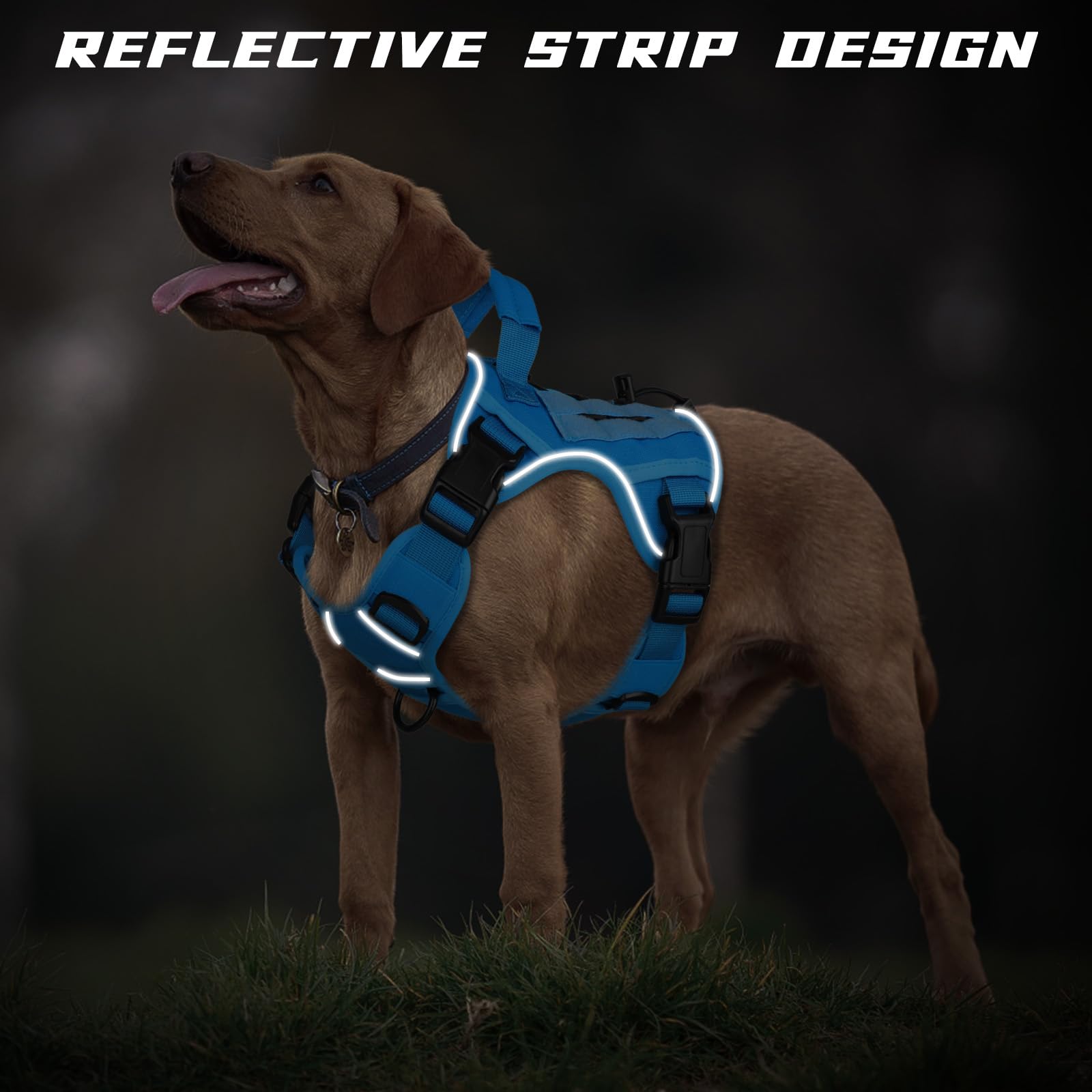 WINGOIN Arnés táctico azul para perros medianos y pequeños, arnés ajustable con asa reflectante K9 para caminar, senderismo, entrenamiento (tamaño S)